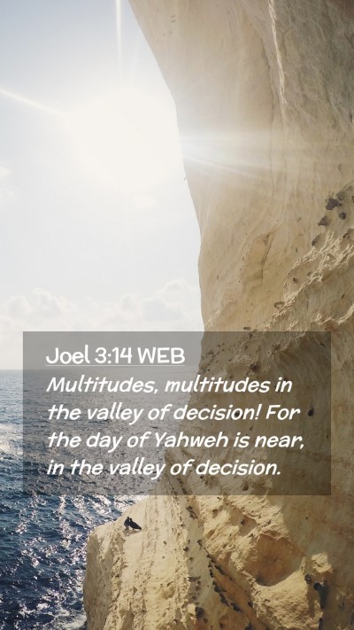 Picture 02 - Joel 3:14 WEB Mobile Phone Wallpaper - Multitudes, multitudes in the valley of decision! - Mobile Bible Verse Wallpaper