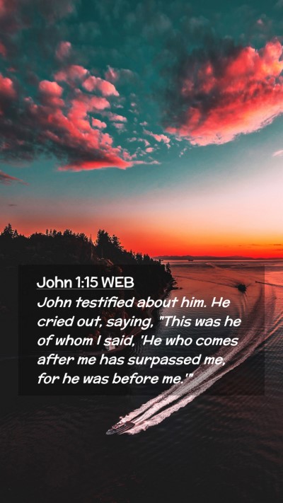 Picture 02 - John 1:15 WEB Mobile Phone Wallpaper - John testified about him. He cried out, saying, - Mobile Bible Verse Wallpaper