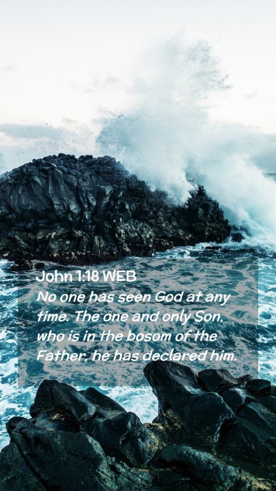 Picture 02 - John 1:18 WEB Mobile Phone Wallpaper - No one has seen God at any time. The one and only - Mobile Bible Verse Wallpaper