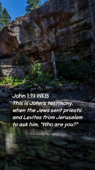Picture 02 - John 1:19 WEB Mobile Phone Wallpaper - This is John's testimony, when the Jews sent - Mobile Bible Verse Wallpaper