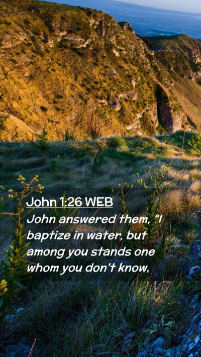 Picture 02 - John 1:26 WEB Mobile Phone Wallpaper - John answered them, 