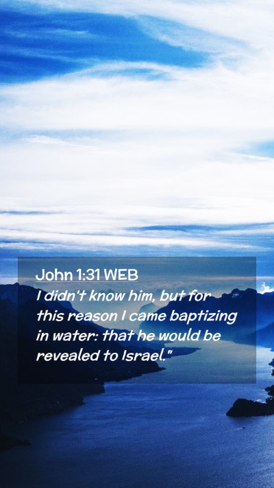 Picture 02 - John 1:31 WEB Mobile Phone Wallpaper - I didn't know him, but for this reason I came - Mobile Bible Verse Wallpaper