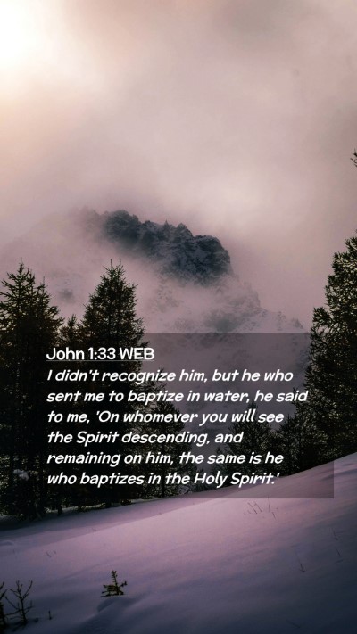 Picture 02 - John 1:33 WEB Mobile Phone Wallpaper - I didn't recognize him, but he who sent me to - Mobile Bible Verse Wallpaper