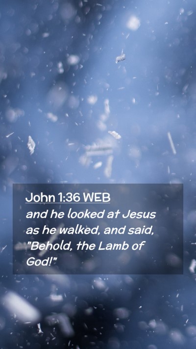 Picture 02 - John 1:36 WEB Mobile Phone Wallpaper - and he looked at Jesus as he walked, and said, - Mobile Bible Verse Wallpaper