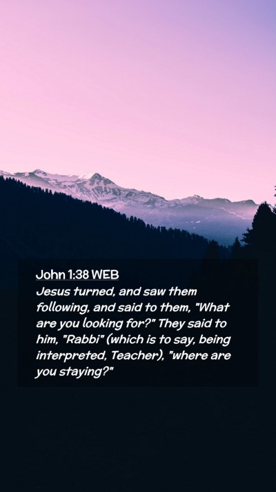 Picture 02 - John 1:38 WEB Mobile Phone Wallpaper - Jesus turned, and saw them following, and said to - Mobile Bible Verse Wallpaper