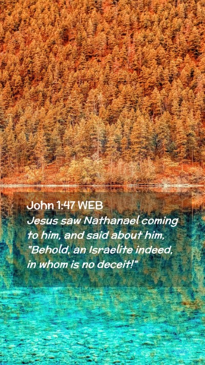 Picture 02 - John 1:47 WEB Mobile Phone Wallpaper - Jesus saw Nathanael coming to him, and said about - Mobile Bible Verse Wallpaper
