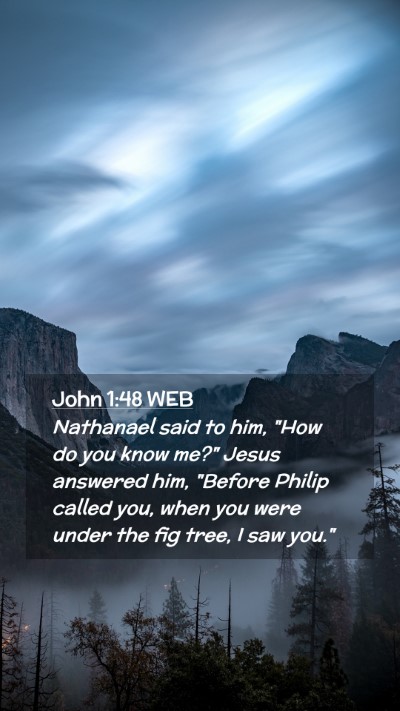 Picture 02 - John 1:48 WEB Mobile Phone Wallpaper - Nathanael said to him, 