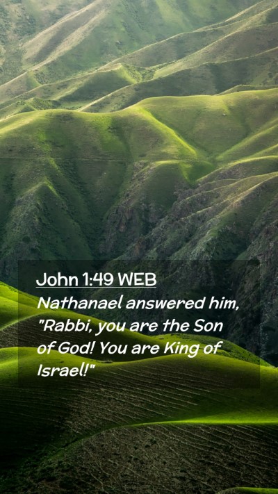 Picture 02 - John 1:49 WEB Mobile Phone Wallpaper - Nathanael answered him, 