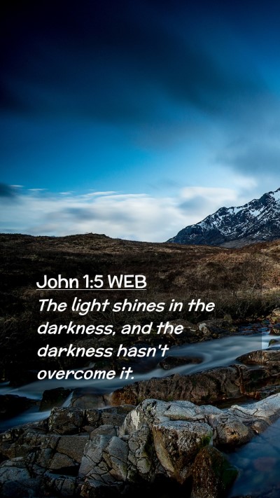 Picture 02 - John 1:5 WEB Mobile Phone Wallpaper - The light shines in the darkness, and the - Mobile Bible Verse Wallpaper