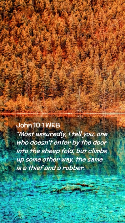 Picture 02 - John 10:1 WEB Mobile Phone Wallpaper - 