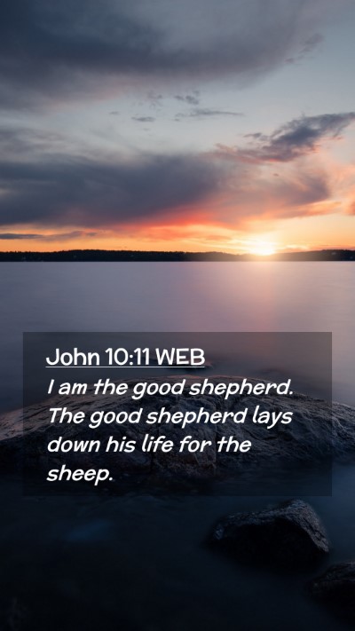 Picture 02 - John 10:11 WEB Mobile Phone Wallpaper - I am the good shepherd. The good shepherd lays - Mobile Bible Verse Wallpaper