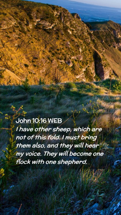 Picture 02 - John 10:16 WEB Mobile Phone Wallpaper - I have other sheep, which are not of this fold. I - Mobile Bible Verse Wallpaper