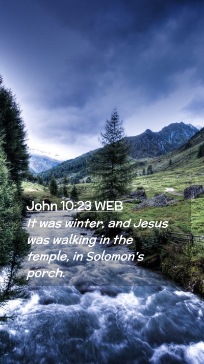 Picture 02 - John 10:23 WEB Mobile Phone Wallpaper - It was winter, and Jesus was walking in the - Mobile Bible Verse Wallpaper