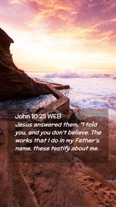 Picture 02 - John 10:25 WEB Mobile Phone Wallpaper - Jesus answered them, 