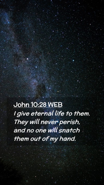 Picture 02 - John 10:28 WEB Mobile Phone Wallpaper - I give eternal life to them. They will never - Mobile Bible Verse Wallpaper