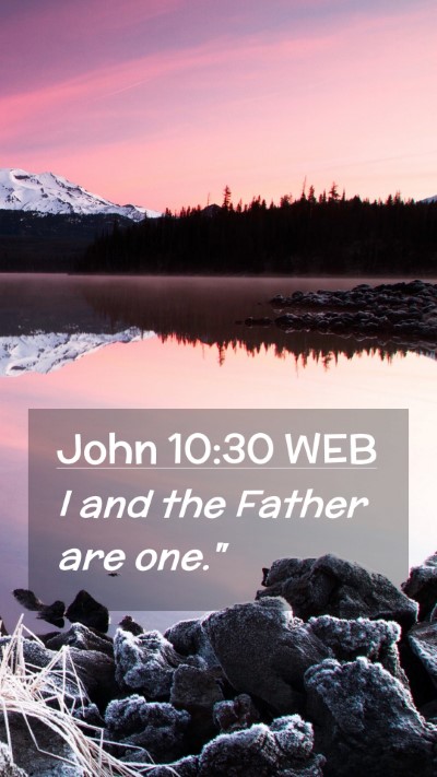 Picture 02 - John 10:30 WEB Mobile Phone Wallpaper - I and the Father are - Mobile Bible Verse Wallpaper