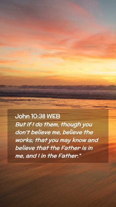 Picture 02 - John 10:38 WEB Mobile Phone Wallpaper - But if I do them, though you don't believe me, - Mobile Bible Verse Wallpaper