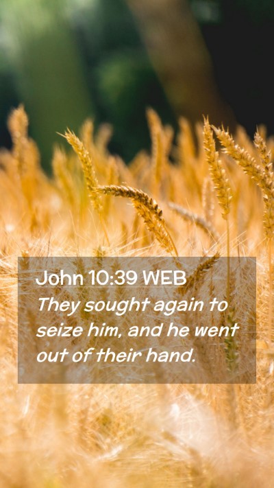 Picture 02 - John 10:39 WEB Mobile Phone Wallpaper - They sought again to seize him, and he went out - Mobile Bible Verse Wallpaper