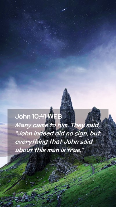 Picture 02 - John 10:41 WEB Mobile Phone Wallpaper - Many came to him. They said, 