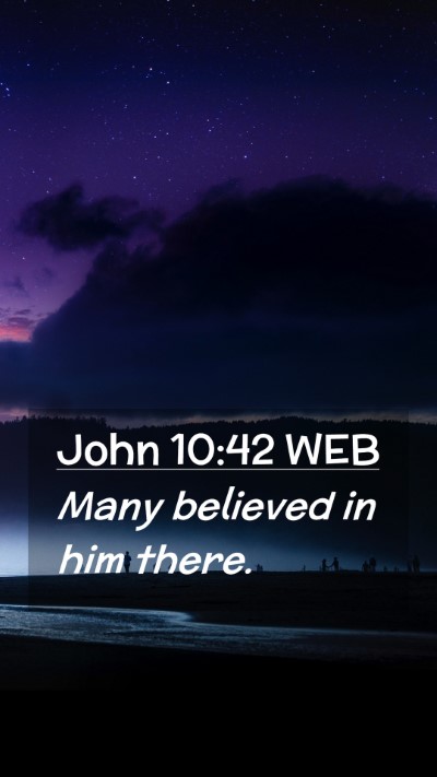 Picture 02 - John 10:42 WEB Mobile Phone Wallpaper - Many believed in him - Mobile Bible Verse Wallpaper