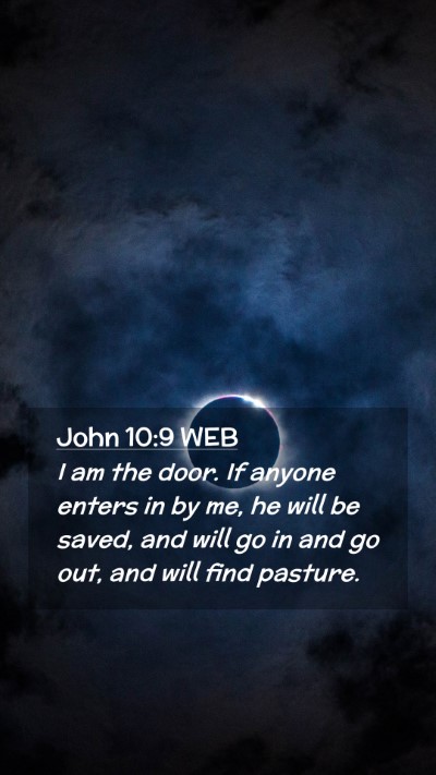 Picture 02 - John 10:9 WEB Mobile Phone Wallpaper - I am the door. If anyone enters in by me, he will - Mobile Bible Verse Wallpaper