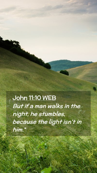 Picture 02 - John 11:10 WEB Mobile Phone Wallpaper - But if a man walks in the night, he stumbles, - Mobile Bible Verse Wallpaper