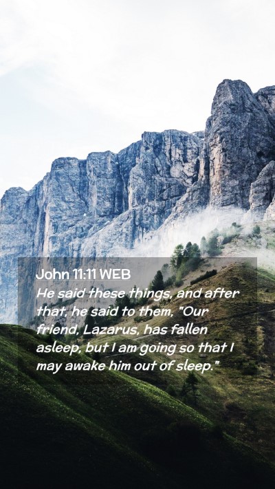 Picture 02 - John 11:11 WEB Mobile Phone Wallpaper - He said these things, and after that, he said to - Mobile Bible Verse Wallpaper