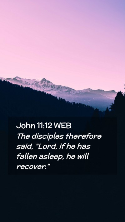 Picture 02 - John 11:12 WEB Mobile Phone Wallpaper - The disciples therefore said, 