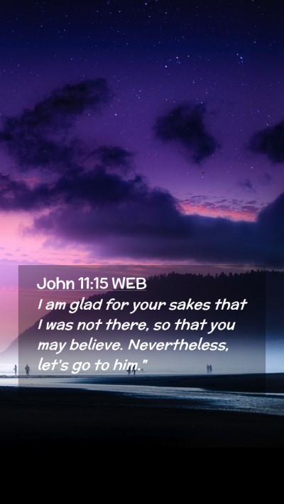 Picture 02 - John 11:15 WEB Mobile Phone Wallpaper - I am glad for your sakes that I was not there, so - Mobile Bible Verse Wallpaper