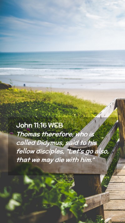 Picture 02 - John 11:16 WEB Mobile Phone Wallpaper - Thomas therefore, who is called Didymus, said to - Mobile Bible Verse Wallpaper