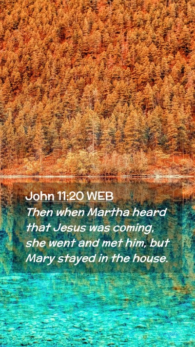 Picture 02 - John 11:20 WEB Mobile Phone Wallpaper - Then when Martha heard that Jesus was coming, she - Mobile Bible Verse Wallpaper