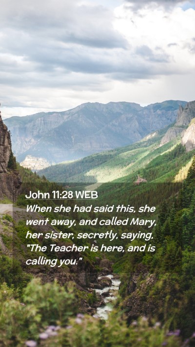 Picture 02 - John 11:28 WEB Mobile Phone Wallpaper - When she had said this, she went away, and called - Mobile Bible Verse Wallpaper
