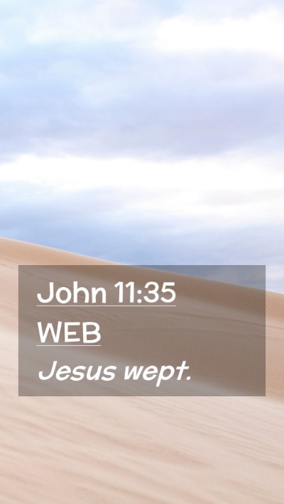 Picture 02 - John 11:35 WEB Mobile Phone Wallpaper - Jesus - Mobile Bible Verse Wallpaper
