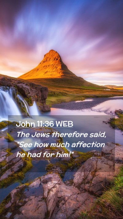 Picture 02 - John 11:36 WEB Mobile Phone Wallpaper - The Jews therefore said, 