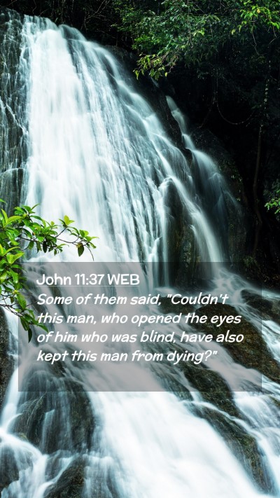 Picture 02 - John 11:37 WEB Mobile Phone Wallpaper - Some of them said, 