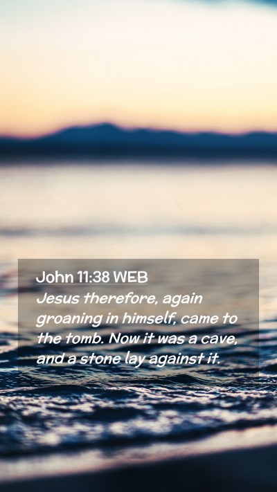 Picture 02 - John 11:38 WEB Mobile Phone Wallpaper - Jesus therefore, again groaning in himself, came - Mobile Bible Verse Wallpaper