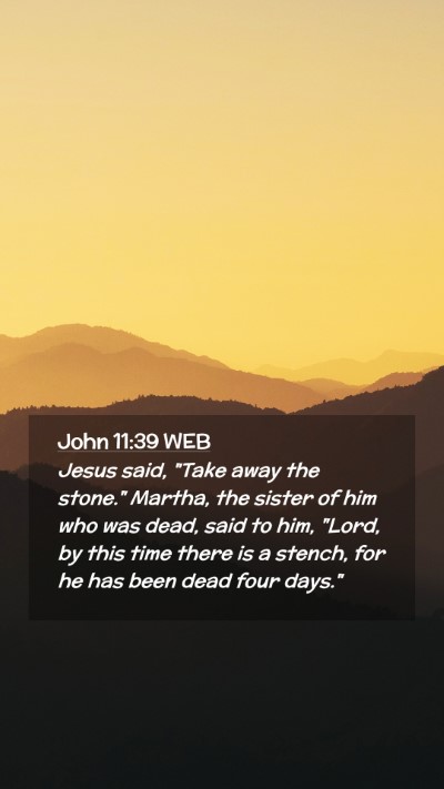 Picture 02 - John 11:39 WEB Mobile Phone Wallpaper - Jesus said, 