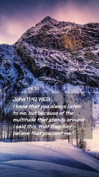 Picture 02 - John 11:42 WEB Mobile Phone Wallpaper - I know that you always listen to me, but because - Mobile Bible Verse Wallpaper