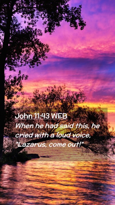 Picture 02 - John 11:43 WEB Mobile Phone Wallpaper - When he had said this, he cried with a loud - Mobile Bible Verse Wallpaper