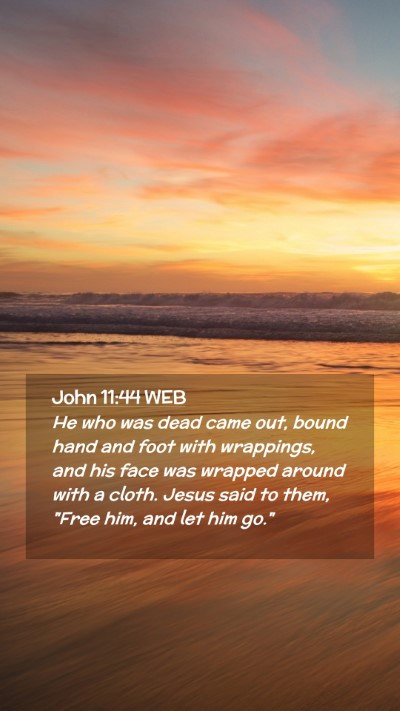 Picture 02 - John 11:44 WEB Mobile Phone Wallpaper - He who was dead came out, bound hand and foot - Mobile Bible Verse Wallpaper