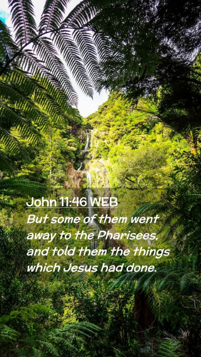 Picture 02 - John 11:46 WEB Mobile Phone Wallpaper - But some of them went away to the Pharisees, and - Mobile Bible Verse Wallpaper