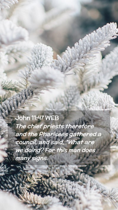 Picture 02 - John 11:47 WEB Mobile Phone Wallpaper - The chief priests therefore and the Pharisees - Mobile Bible Verse Wallpaper