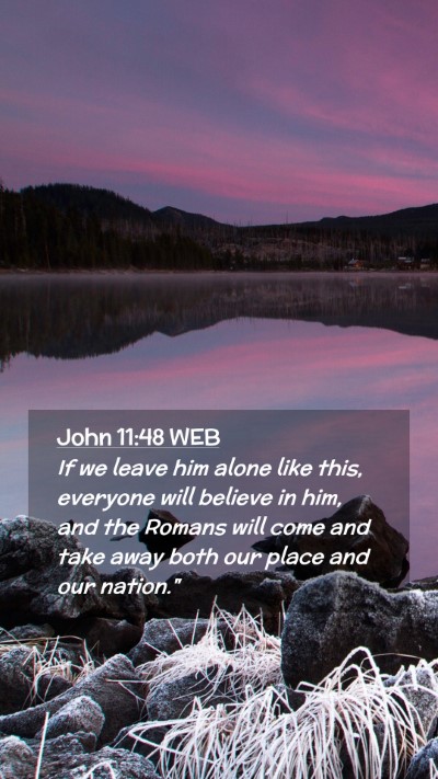 Picture 02 - John 11:48 WEB Mobile Phone Wallpaper - If we leave him alone like this, everyone will - Mobile Bible Verse Wallpaper