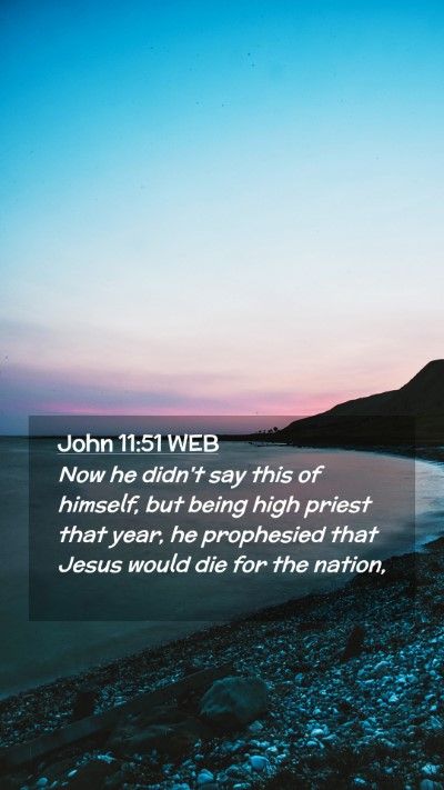 Picture 02 - John 11:51 WEB Mobile Phone Wallpaper - Now he didn't say this of himself, but being high - Mobile Bible Verse Wallpaper