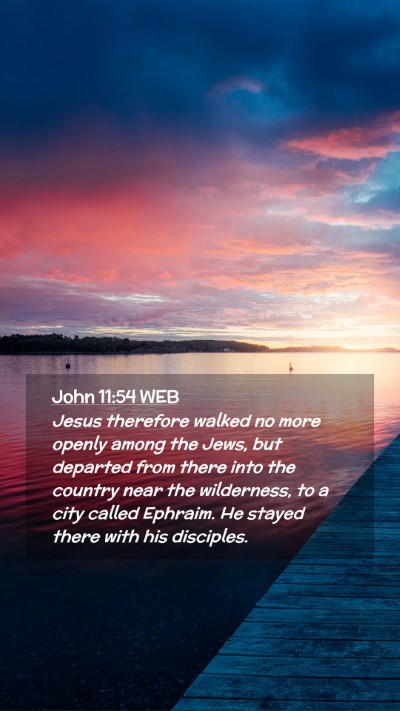 Picture 02 - John 11:54 WEB Mobile Phone Wallpaper - Jesus therefore walked no more openly among the - Mobile Bible Verse Wallpaper