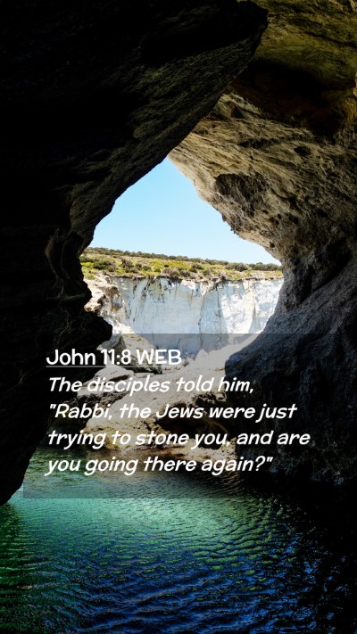Picture 02 - John 11:8 WEB Mobile Phone Wallpaper - The disciples told him, 