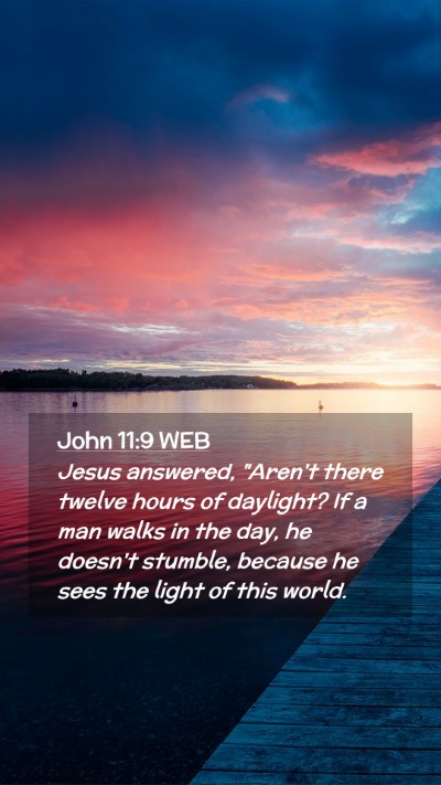 Picture 02 - John 11:9 WEB Mobile Phone Wallpaper - Jesus answered, 