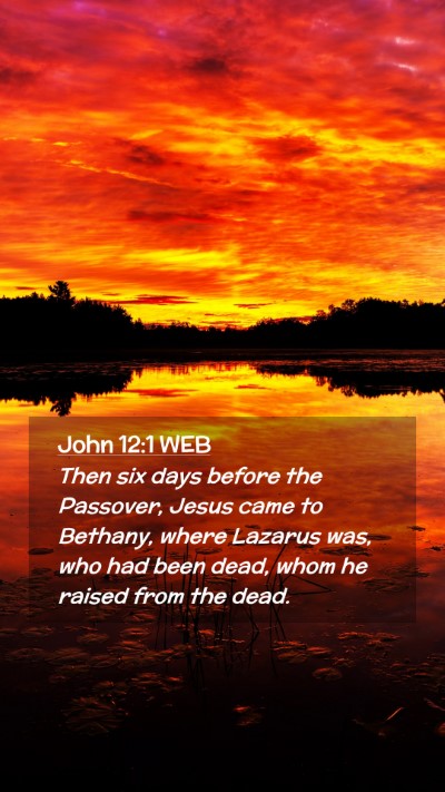 Picture 02 - John 12:1 WEB Mobile Phone Wallpaper - Then six days before the Passover, Jesus came to - Mobile Bible Verse Wallpaper
