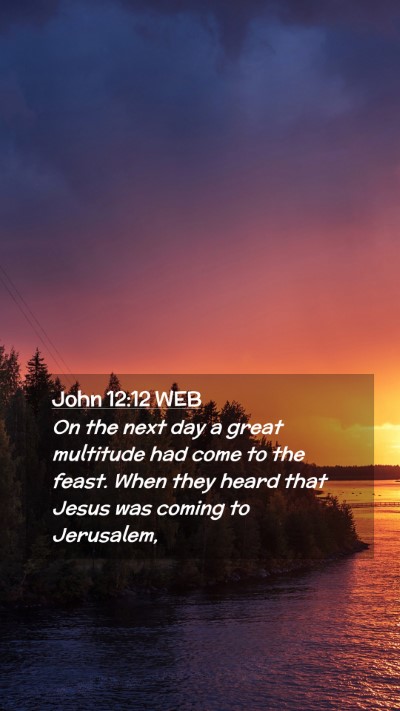 Picture 02 - John 12:12 WEB Mobile Phone Wallpaper - On the next day a great multitude had come to the - Mobile Bible Verse Wallpaper