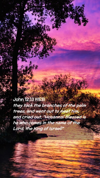 Picture 02 - John 12:13 WEB Mobile Phone Wallpaper - they took the branches of the palm trees, and - Mobile Bible Verse Wallpaper